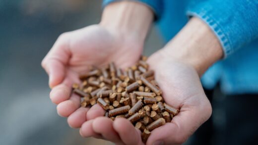 close up of hands holding wood pellets 2026 01 05 06 20 37 utc