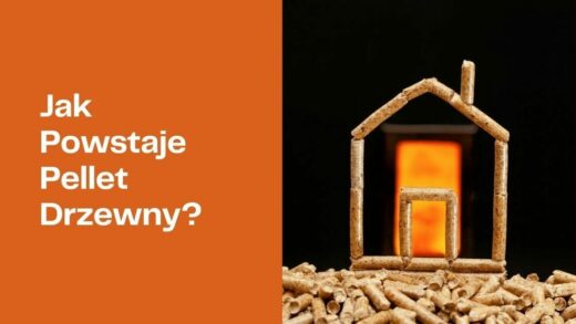 Jak powstaje pellet drzewny