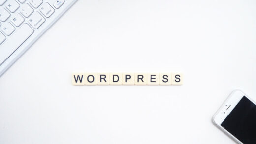 WordPress czyli czym jest motyw, wtyczka, hosting domena i jak stworzyć stronę CMS